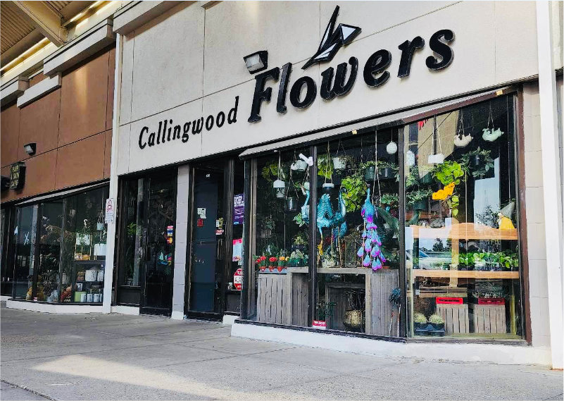 We are an outdoor shopping centre in the Callingwood area, located at 178 street and 69 avenue in West Edmonton and conveniently located just off the Anthony Henday.  